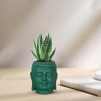 Small Buddha 3.5